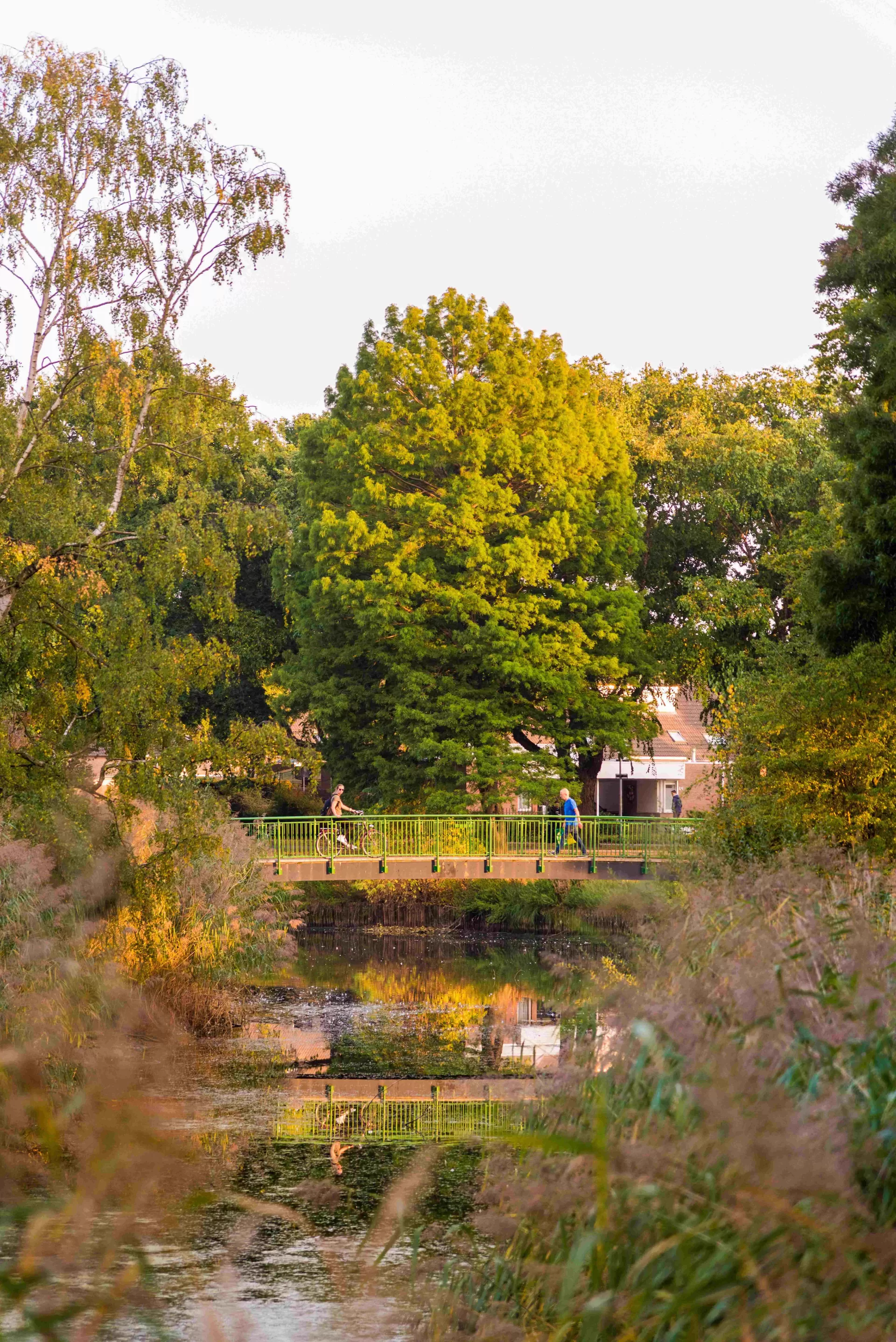 Stadswandelpark