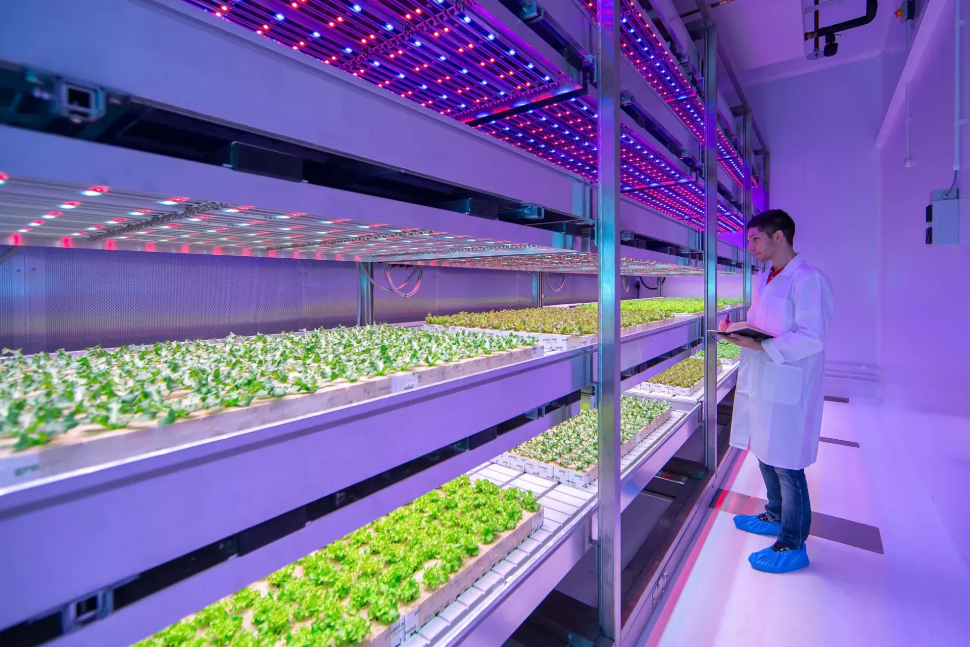 Foodtech